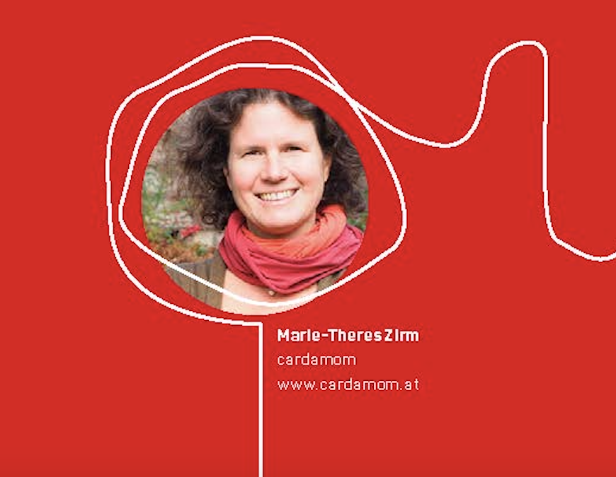 Kreativwirtschaft Austria | Transformations Workshops