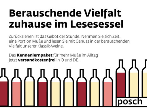 Posch Wein Lesen - Animation - Illustration - Jacqui Kaulfersch - cardamom