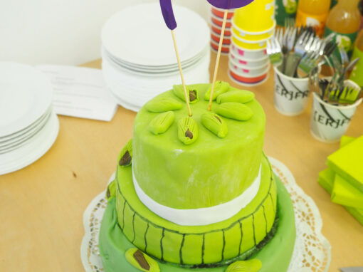 15 Jahre cardamom Feiern