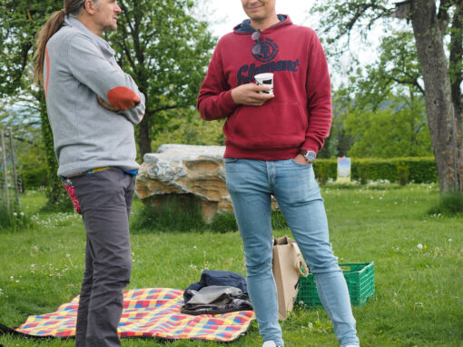 Design Picknick Weiz Gregor Karlinger Transferio cardamom Agentur